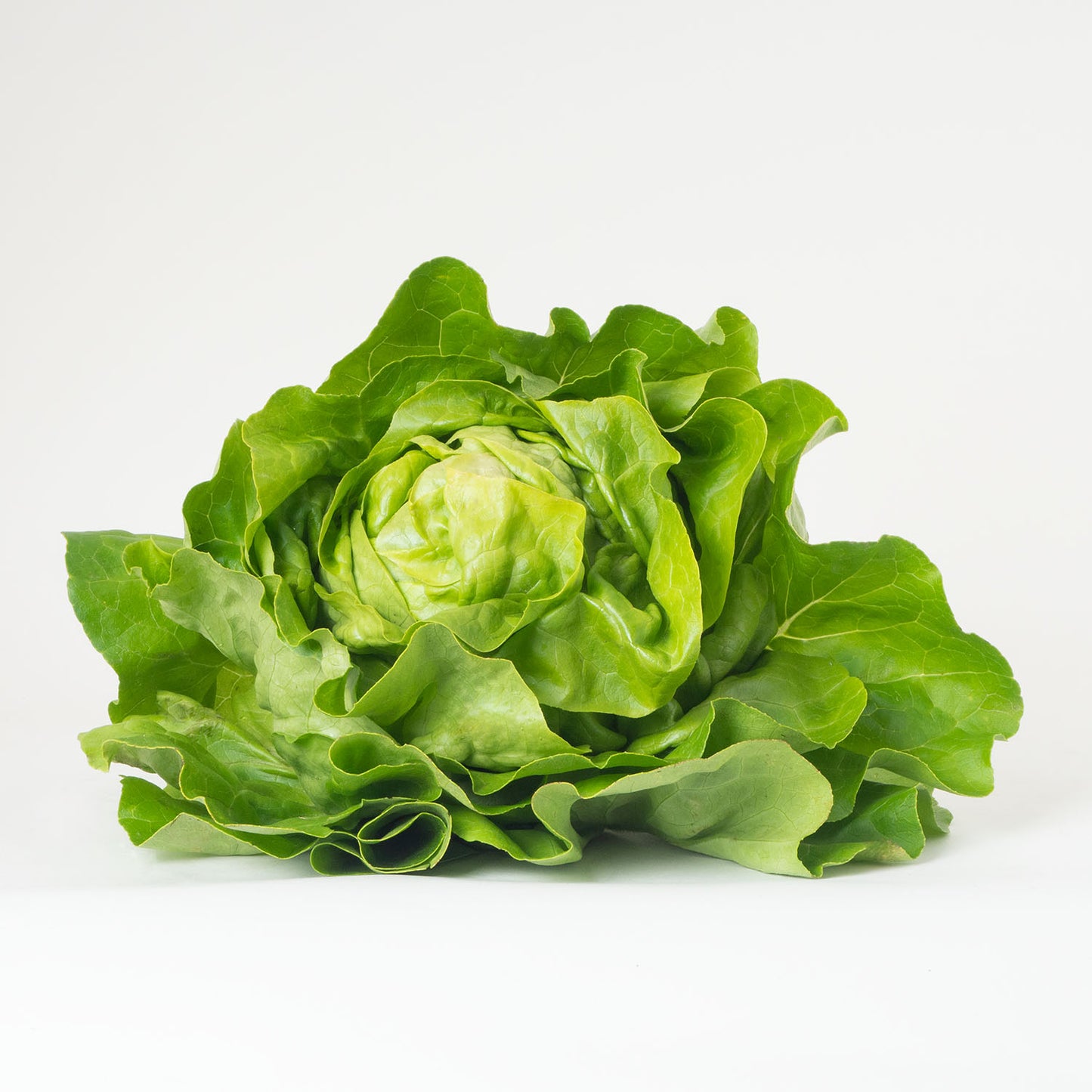 Häuptlsalat