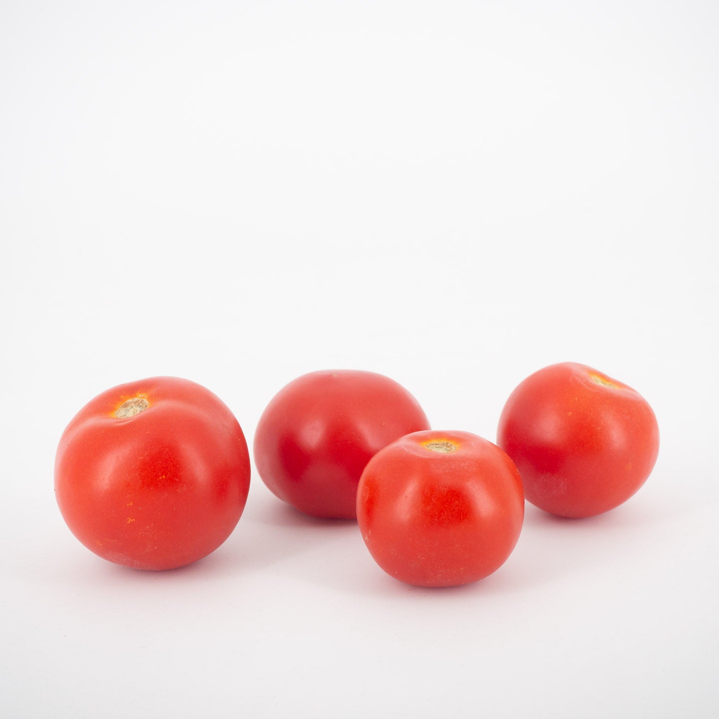 Tomaten rot