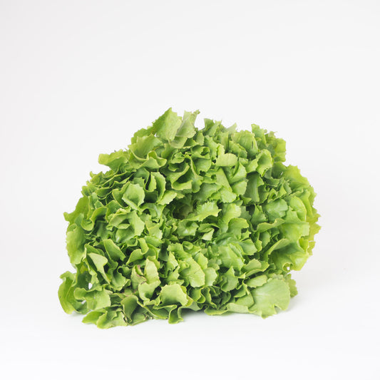 Endiviensalat