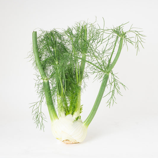 Fenchel