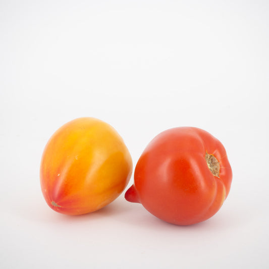 Ochsenherz-Tomaten