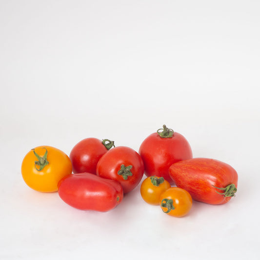 Cocktail-Tomaten