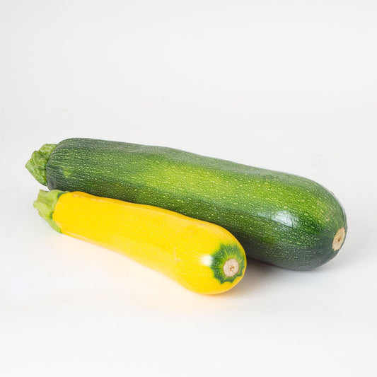 Zucchini